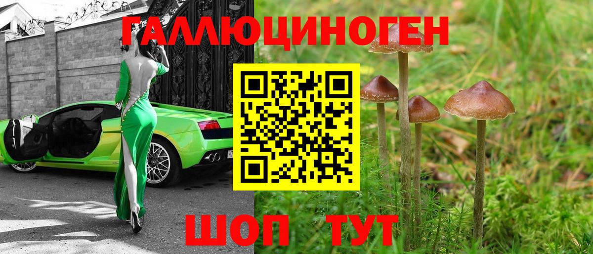 Псилоцибиновые грибы MAGIC MUSHROOMS Вичуга